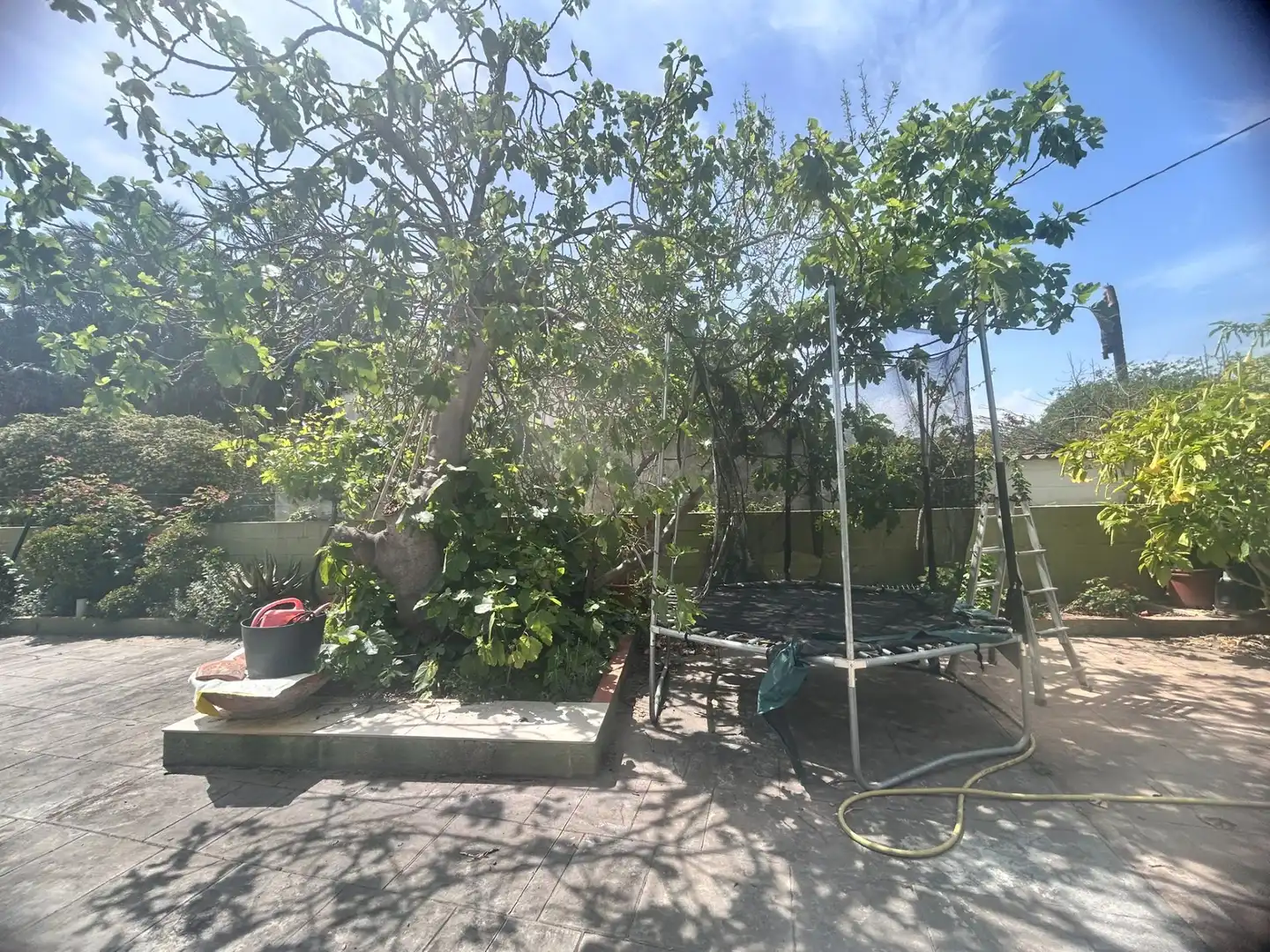 Jardí de Casa o xalet en venda en Sagunto / Sagunt amb Aire condicionat, Calefacció i Jardí privat
