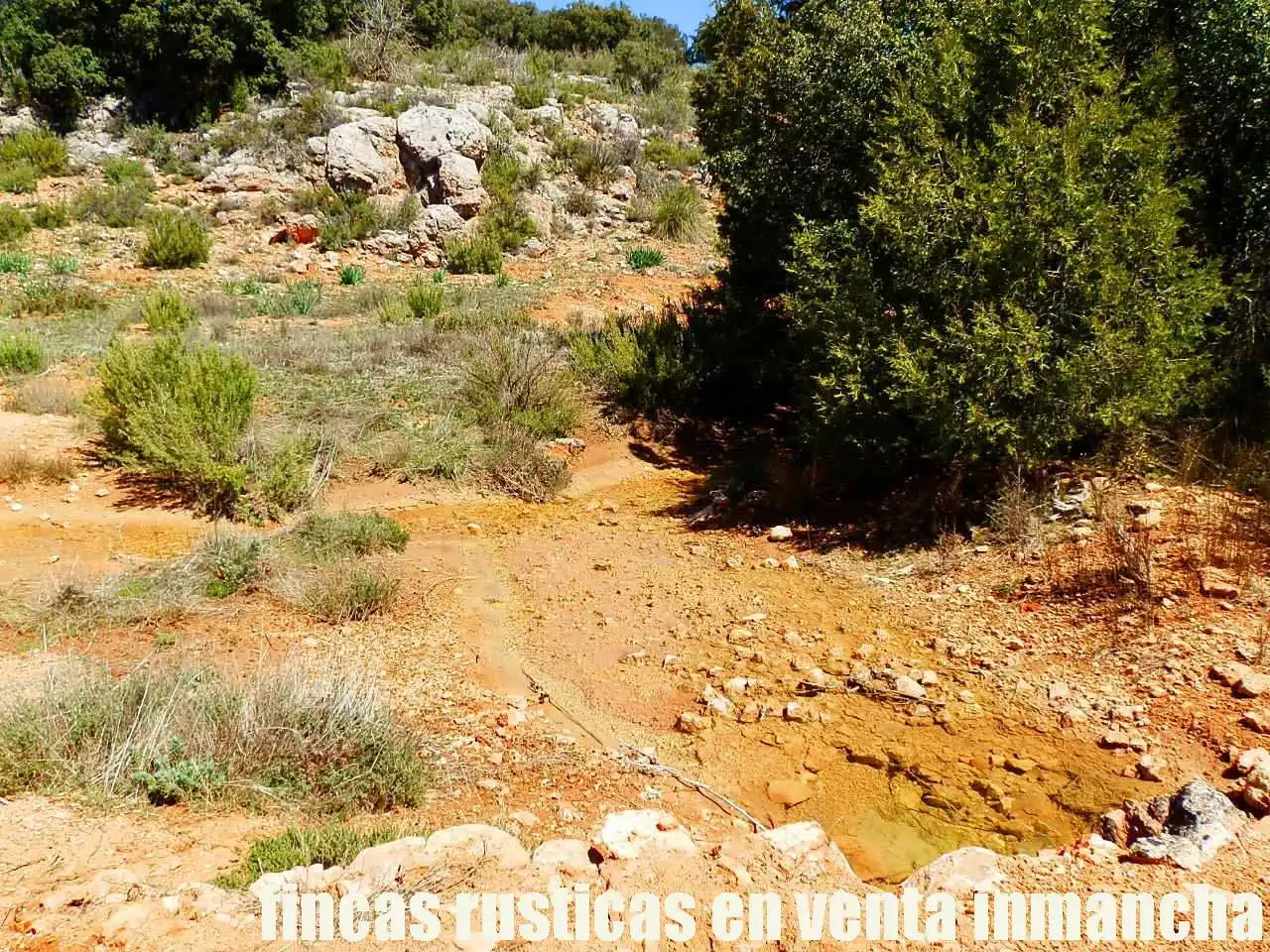 Lands and plots for sale in Ossa de Montiel, imagen 13