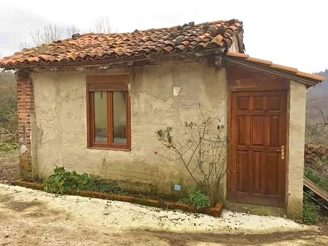 Exterior view of House or chalet for sale in Cabranes