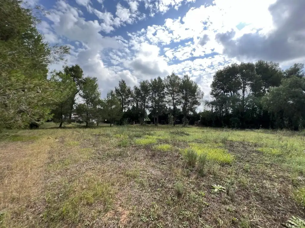 Terreny residencial en venda a Alberic, imagen 13
