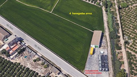 SE VENDE PARCELA/SECADERO + CAMPO 4 HANEGADAS DE ARROZ + NAVE/GRANERO