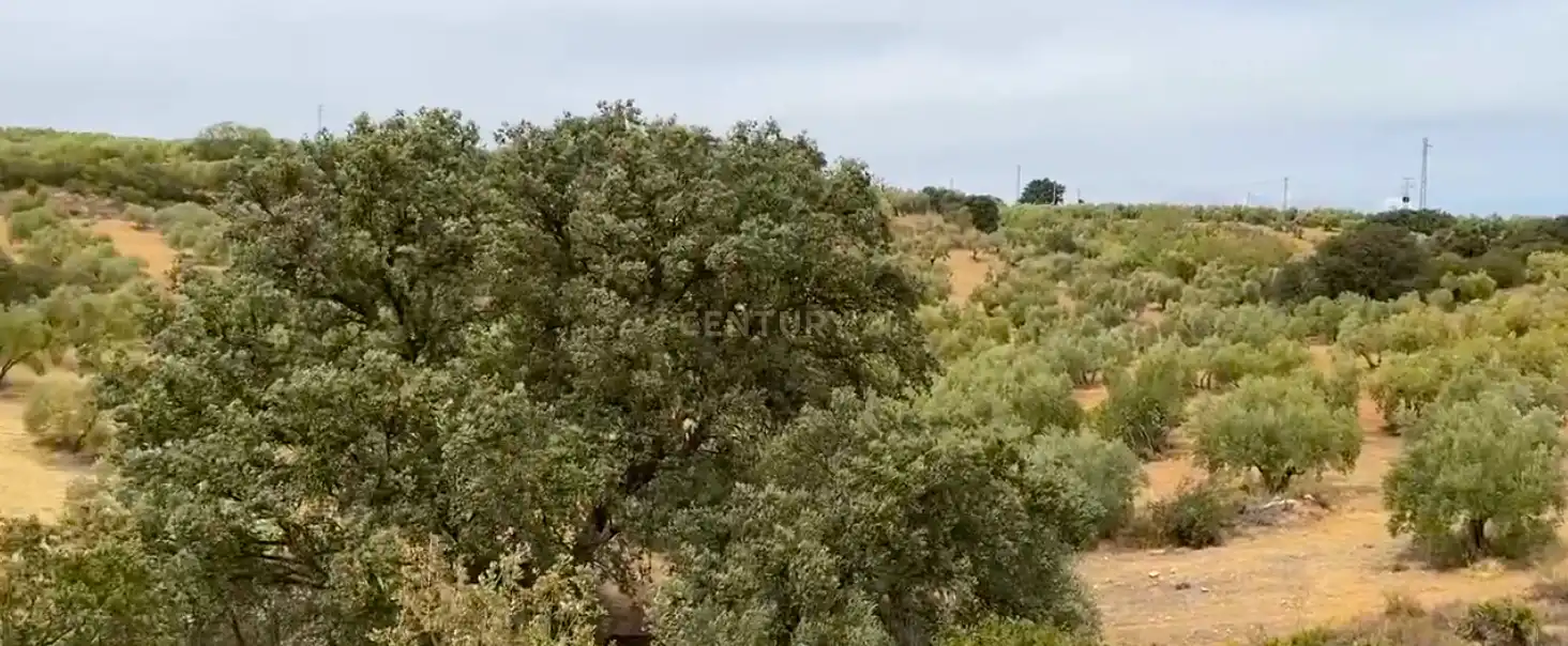 Lands and plots for sale in AR URB ANTEQUERA GOLF 122 122, imagen 22