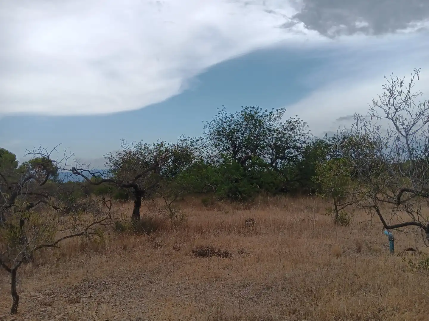 Lands and plots for sale in Roquetes, imagen 14