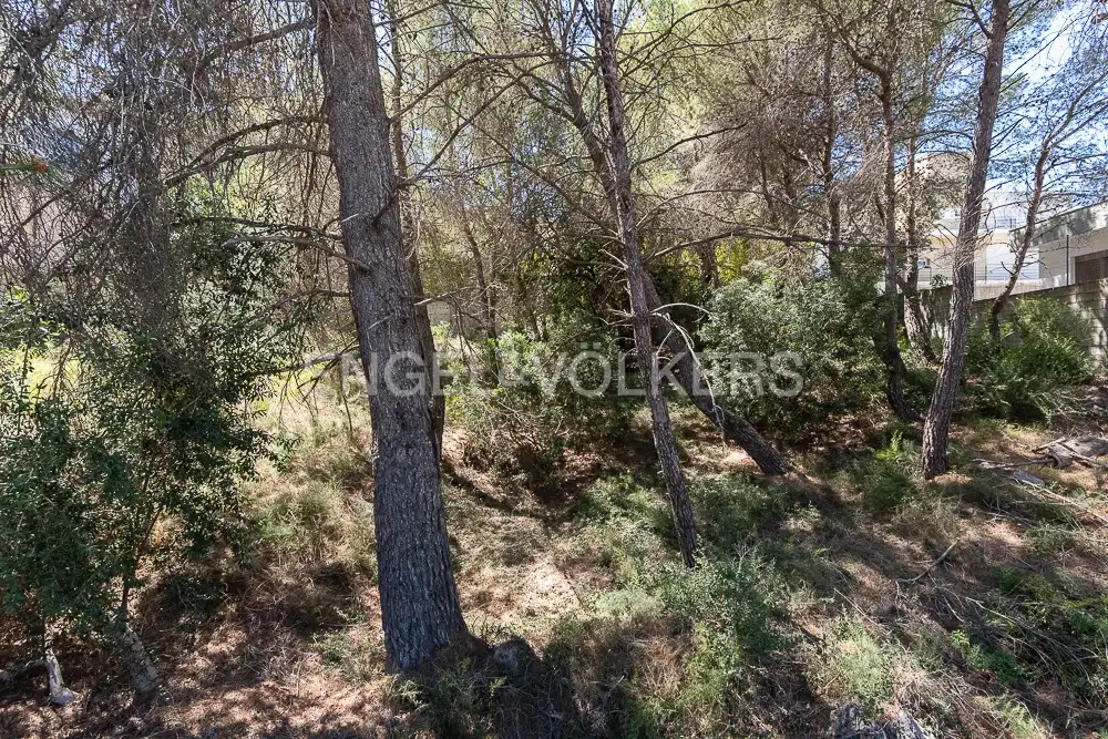 Terrenys i solars en venda a Carcaixent, imagen 3