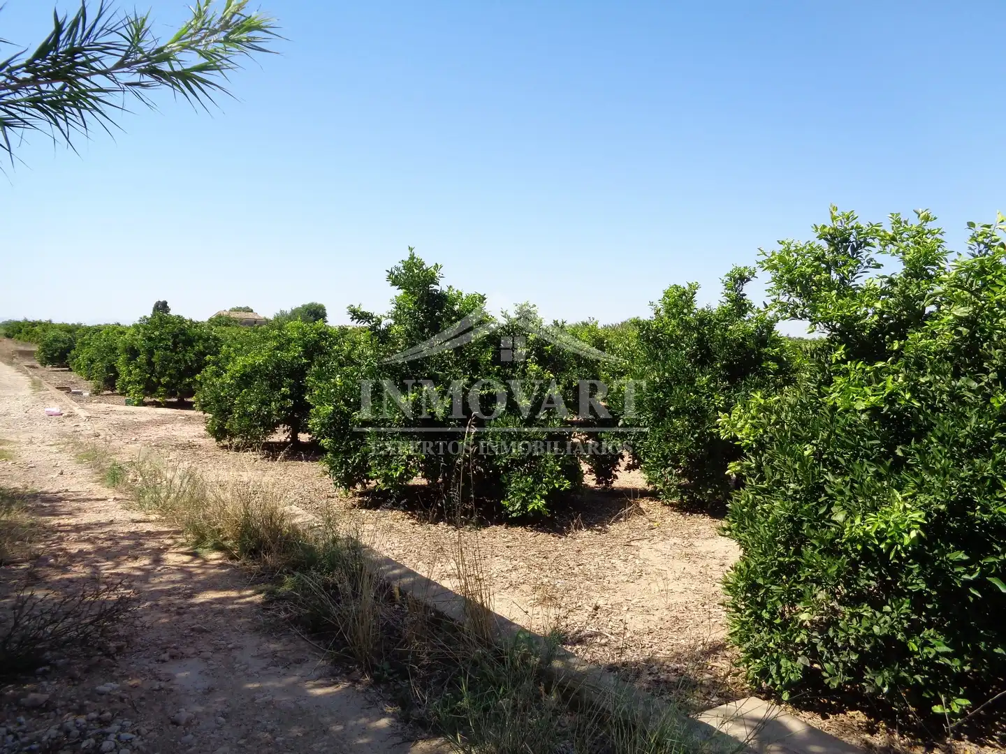 Rural land for sale in Sollana, imagen 2