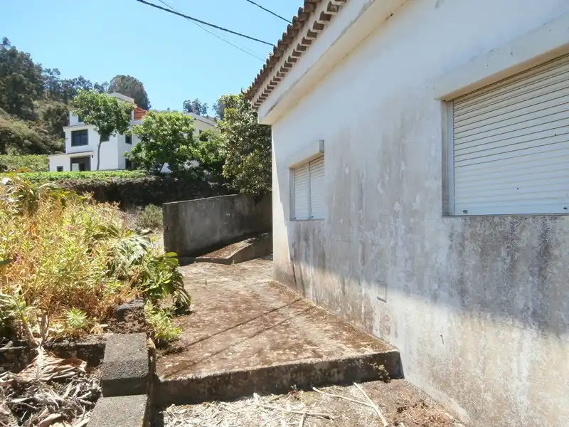 Vista exterior de Finca rústica en venta en Moya (Las Palmas)
