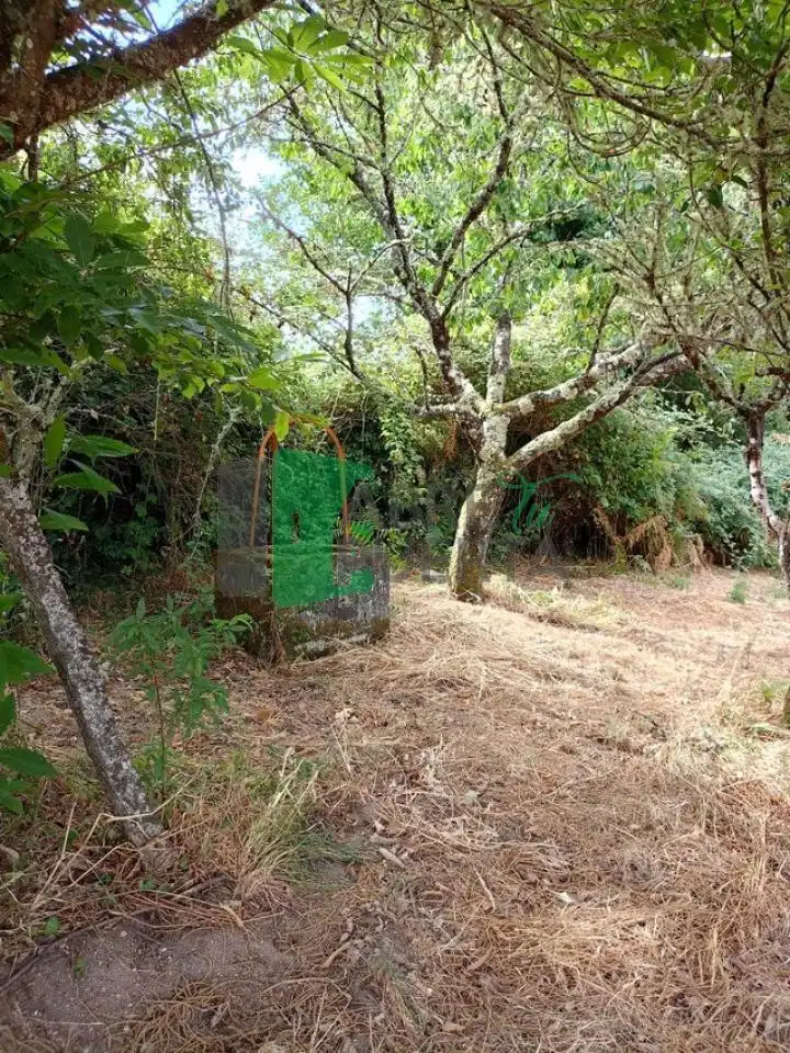 Chalet con jardín en venta en Amoeiro, imagen 6