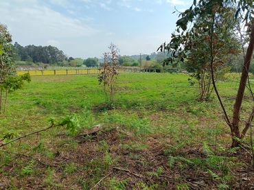Terreny residencial en venda a Ribadumia