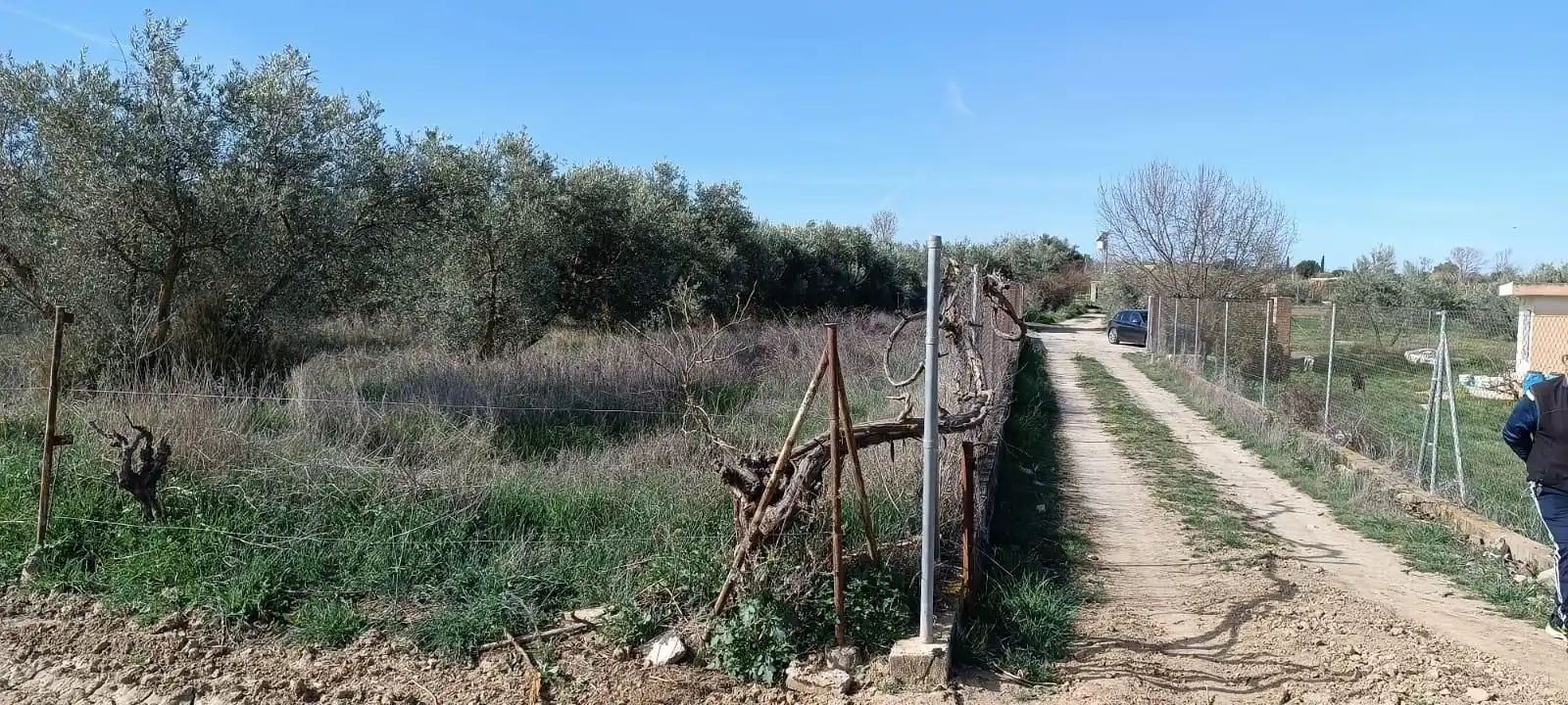 Finca rústica en venta en Villa de Otura