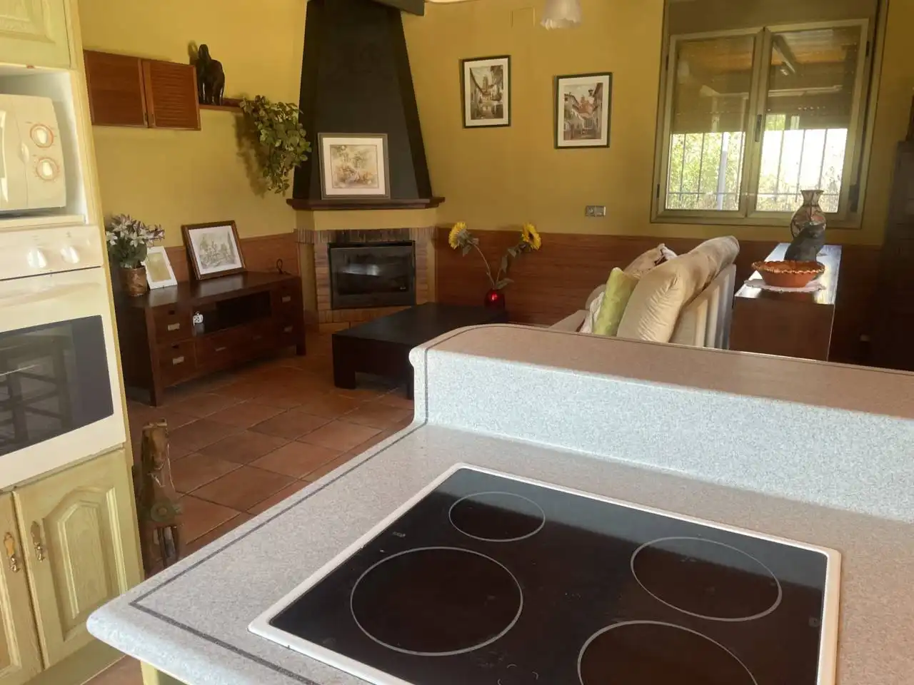 Sala de estar de Casa o chalet en venta en Móra d'Ebre con Aire acondicionado, Calefacción y Jardín privado