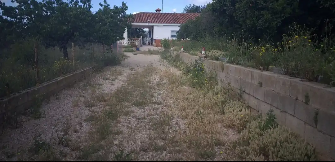 Casa o xalet en venda en Cheste amb Jardí privat i Alarma