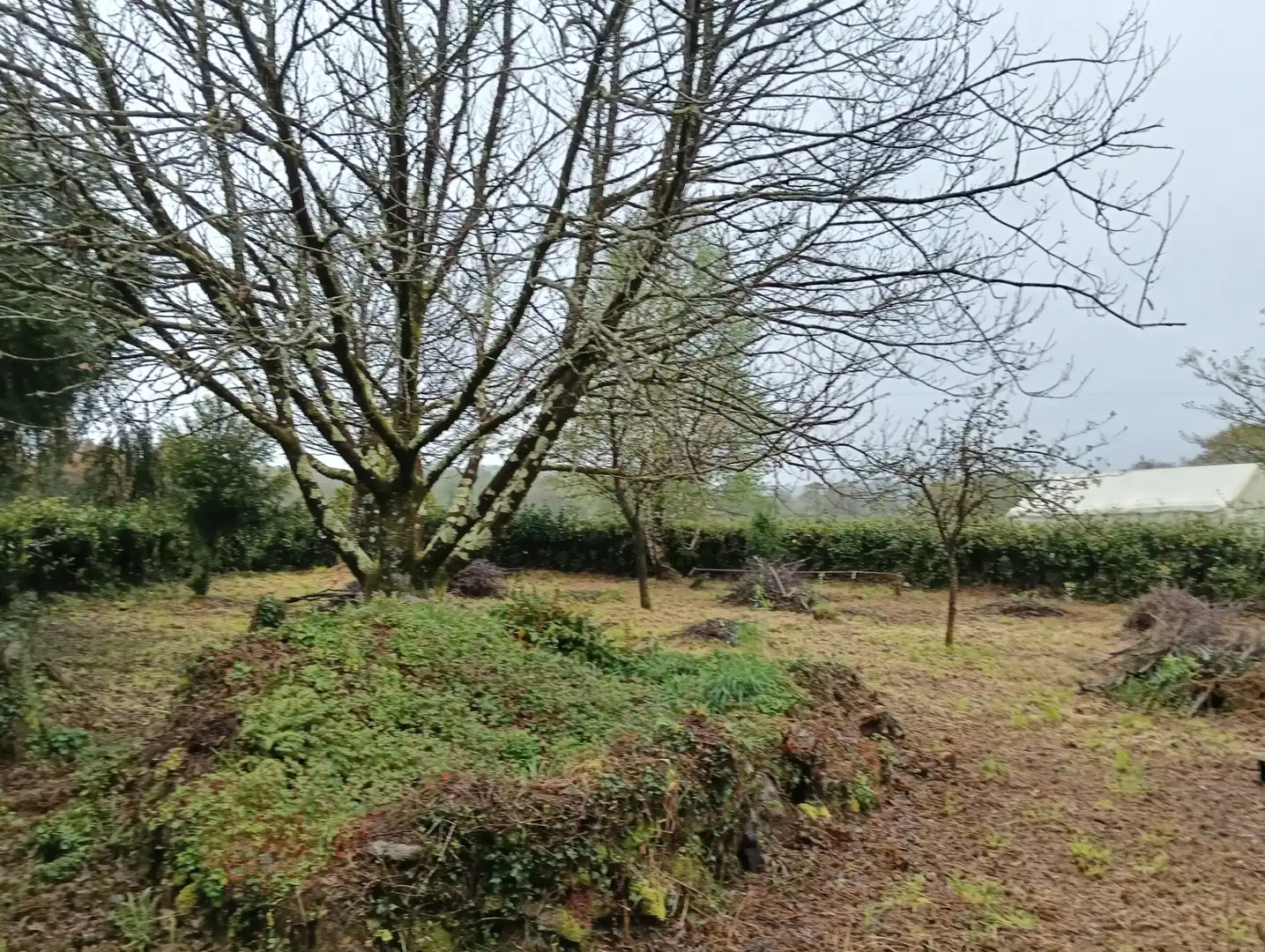 Adossat amb jardí en venda a Curtis, imagen 18