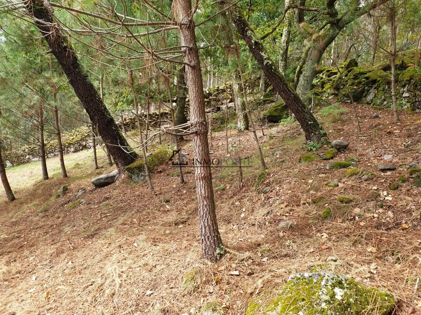 Casa o chalet en venta en Campo Lameiro con Jardín privado
