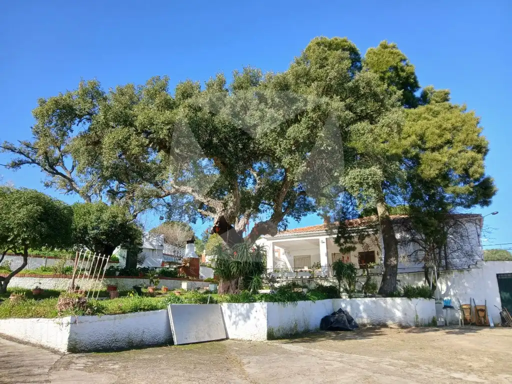 Vista exterior de Casa o xalet en venda en Cáceres amb Aire condicionat, Terrassa i Piscina