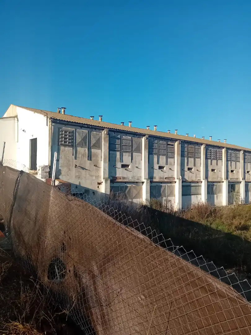 Vista exterior de Nave industrial en venta en Cabra del Camp