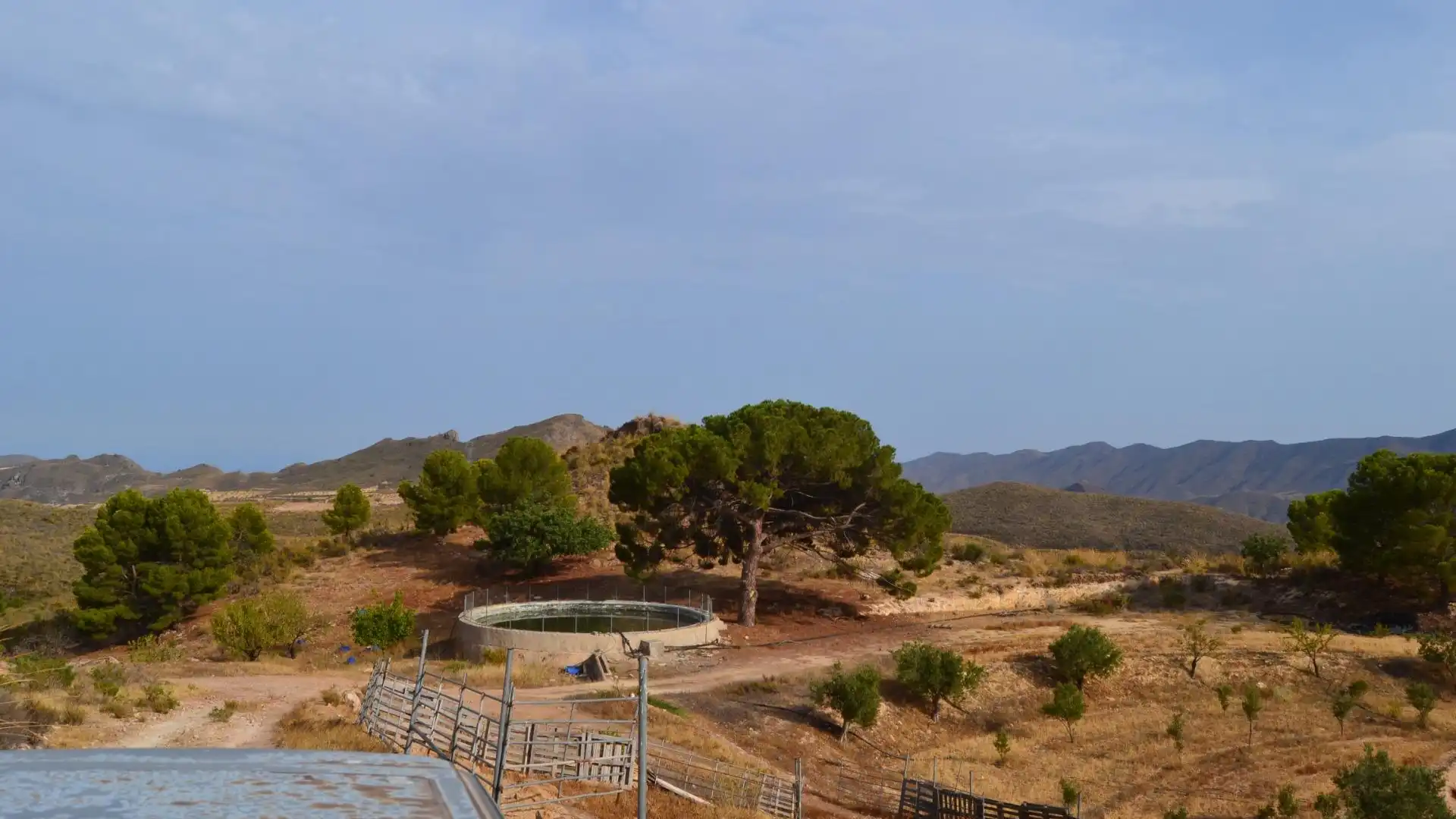 Finca rústica de alquiler con opción a compra en Lorca con Jardín privado