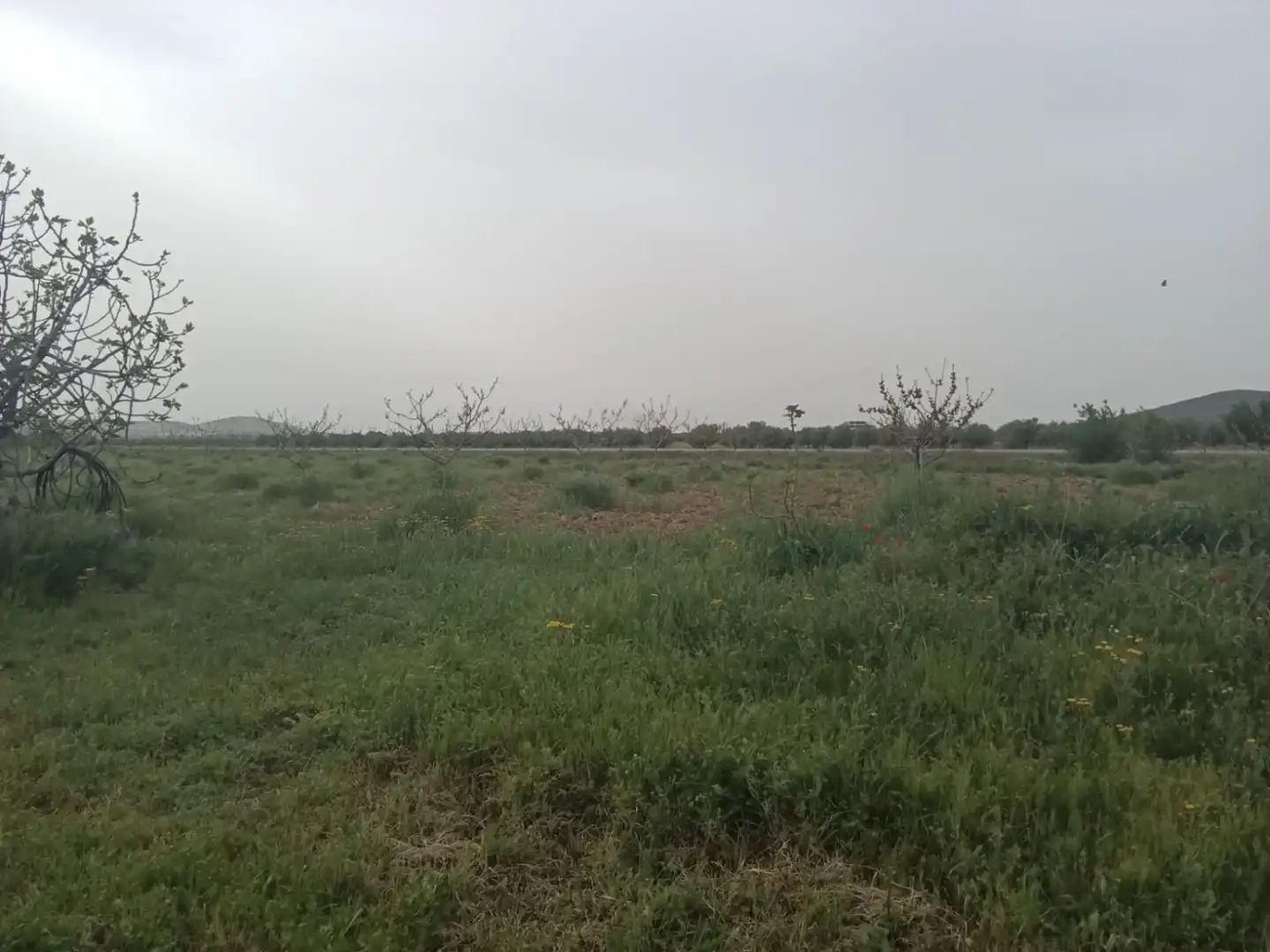 Casa rústica en venda a Fuente el Fresno, imagen 17