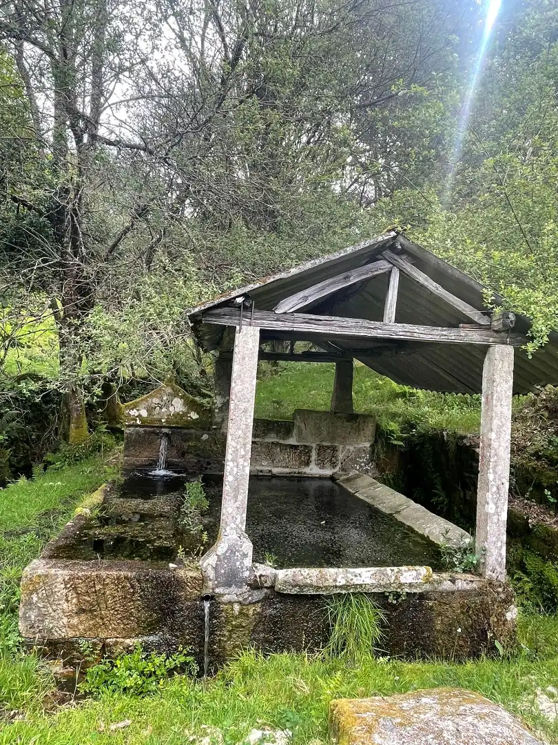 Vista exterior de Finca rústica en venta en O Irixo con Jardín privado y Balcón