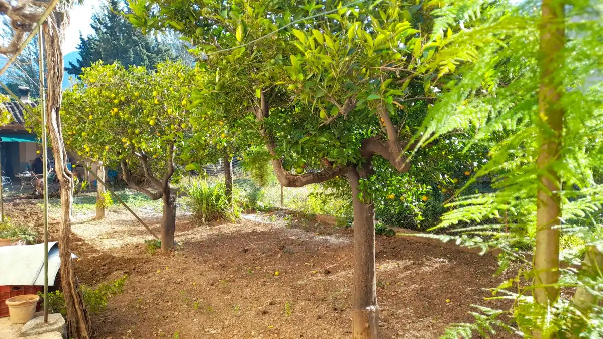Terraced house with garden for sale in Sóller, imagen 30