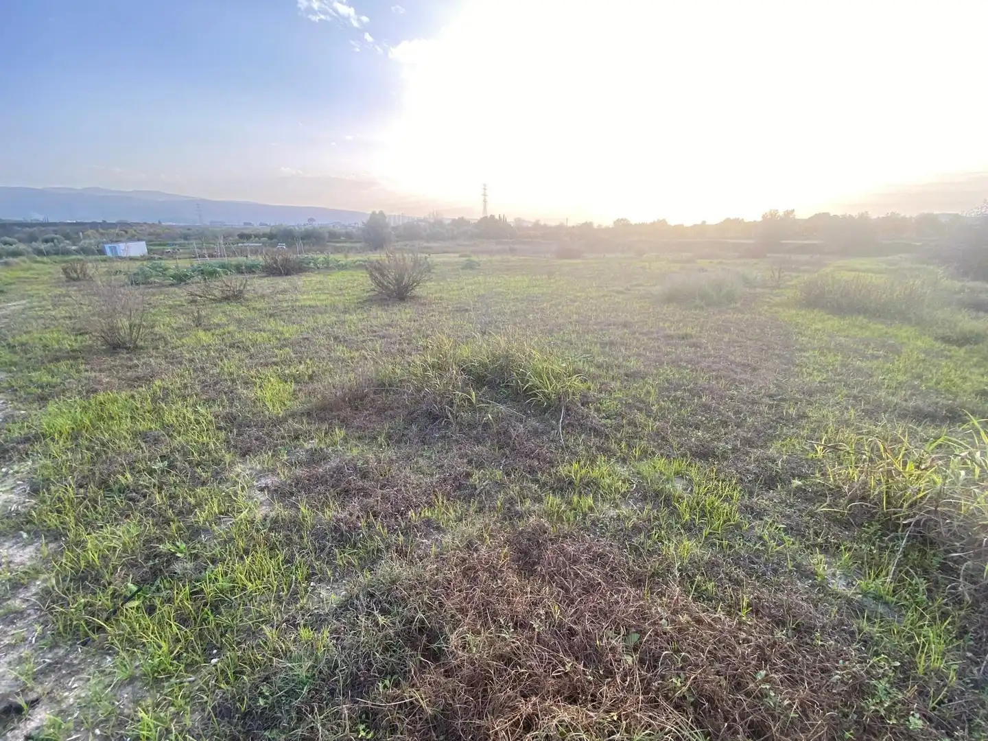 Terreno residenziale in vendita a Albaida, imagen 8