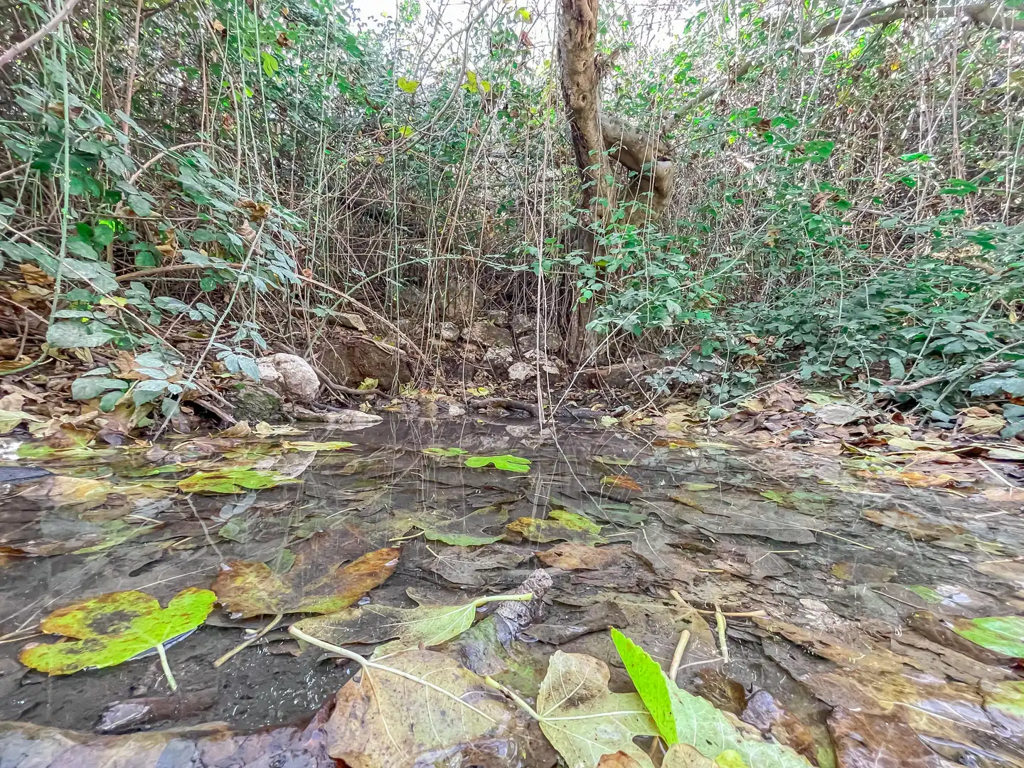 Grundstücke zum Verkauf in Alhama de Granada
