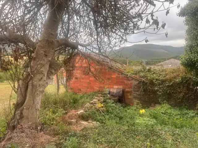 Country homes for sale in Trabada