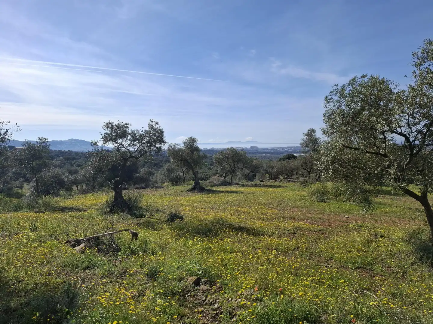 Terrenos y solares en venta en Balmes, imagen 3