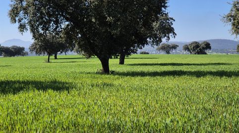Oliva de MéridaFinca Rustica, imatge 3