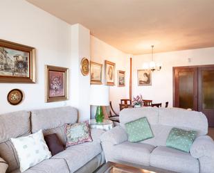 Living room of Apartment for sale in Málaga Capital  with Terrace
