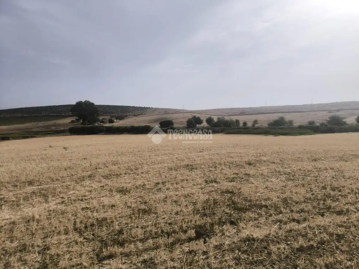 Rustikales Grundstück zum Verkauf in Arcos de la Frontera, imagen 3
