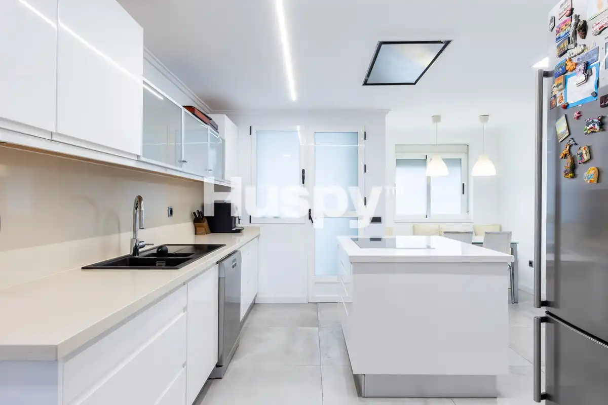 Cocina de Piso en venta en El Pla del Real