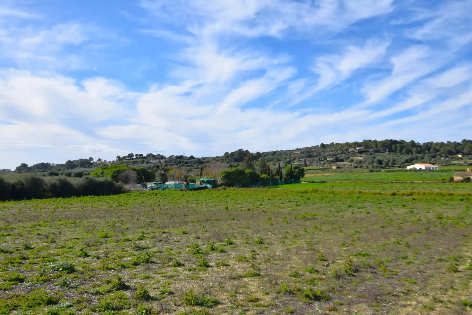 Residential land for sale in Muro, imagen 10