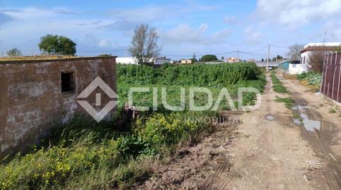 Photo 2 of Land for sale in La Jara, Cádiz