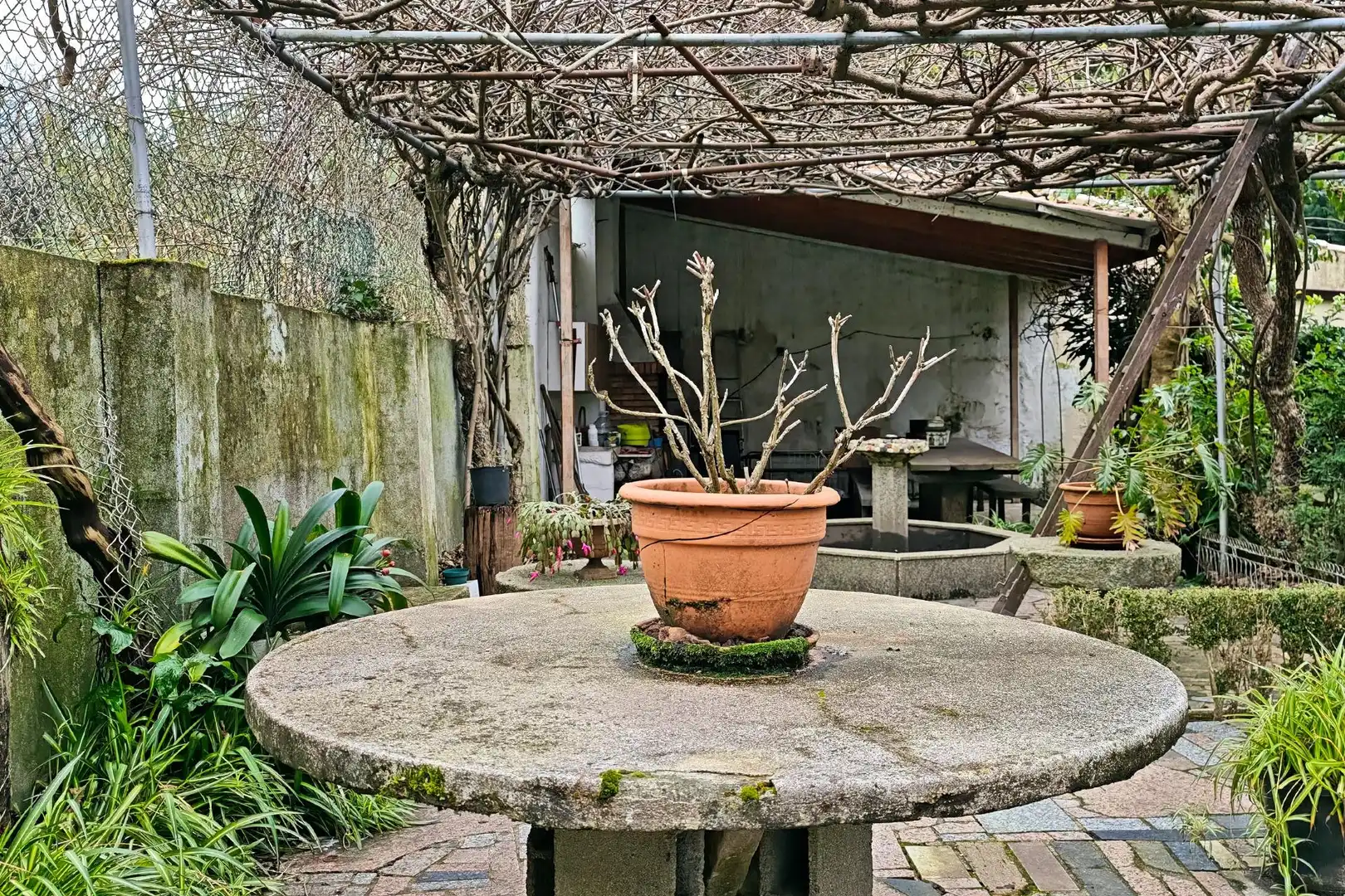 Terraza de Casa o chalet en venta en Vigo  con Jardín privado y Balcón