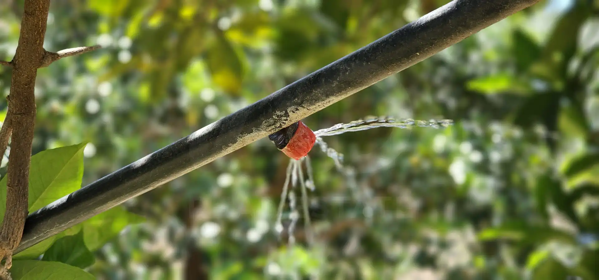 Jardí de Residencial en venda en Íllar