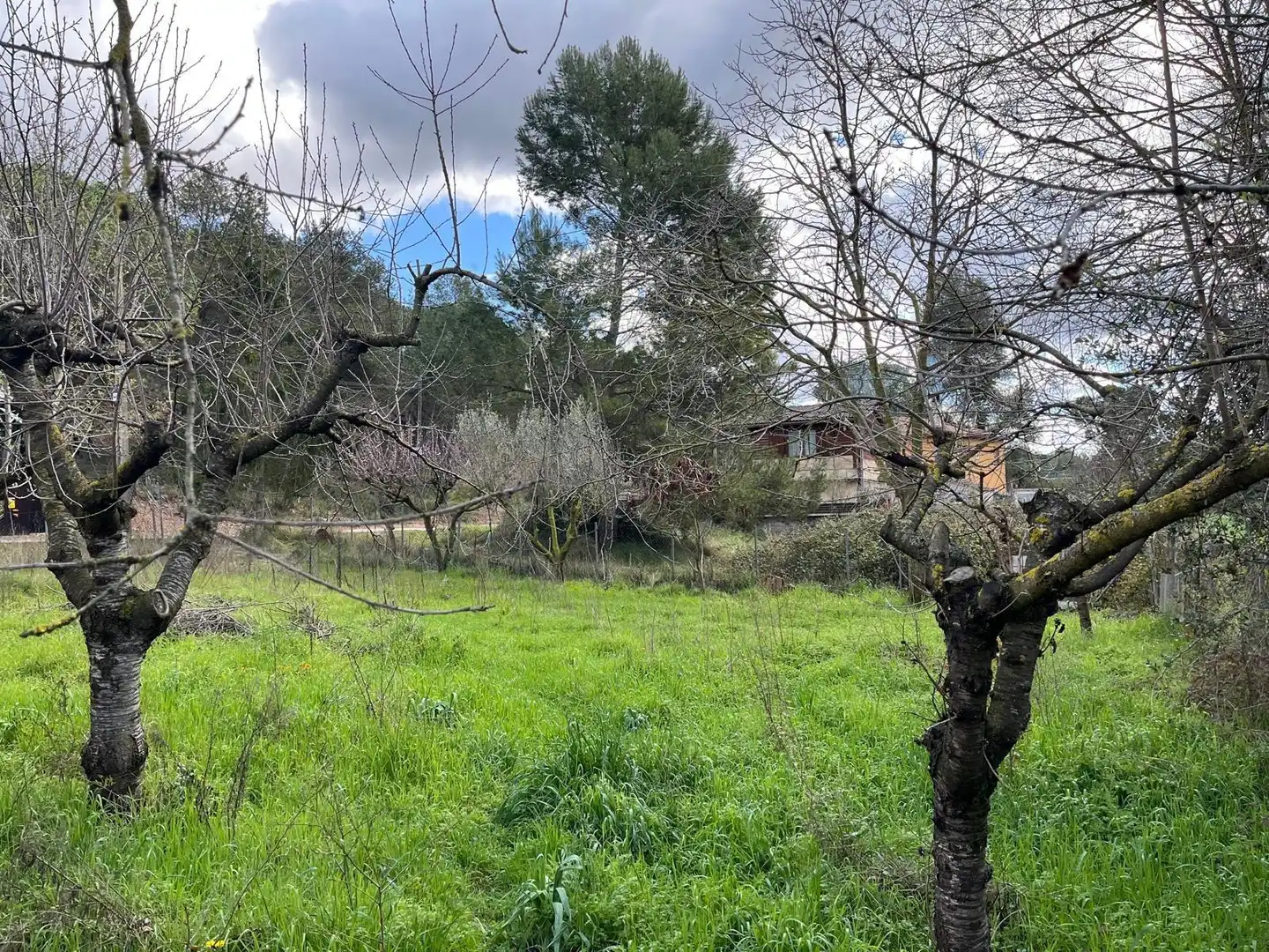 Terreno residencial en venta en El Bruc, imagen 3