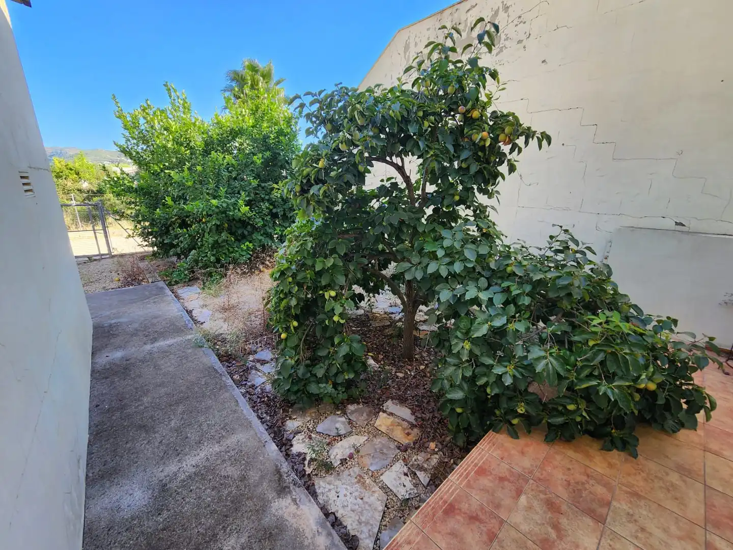 Garten von Country house zum Verkauf in Tormos mit Privatgarten und Terrasse
