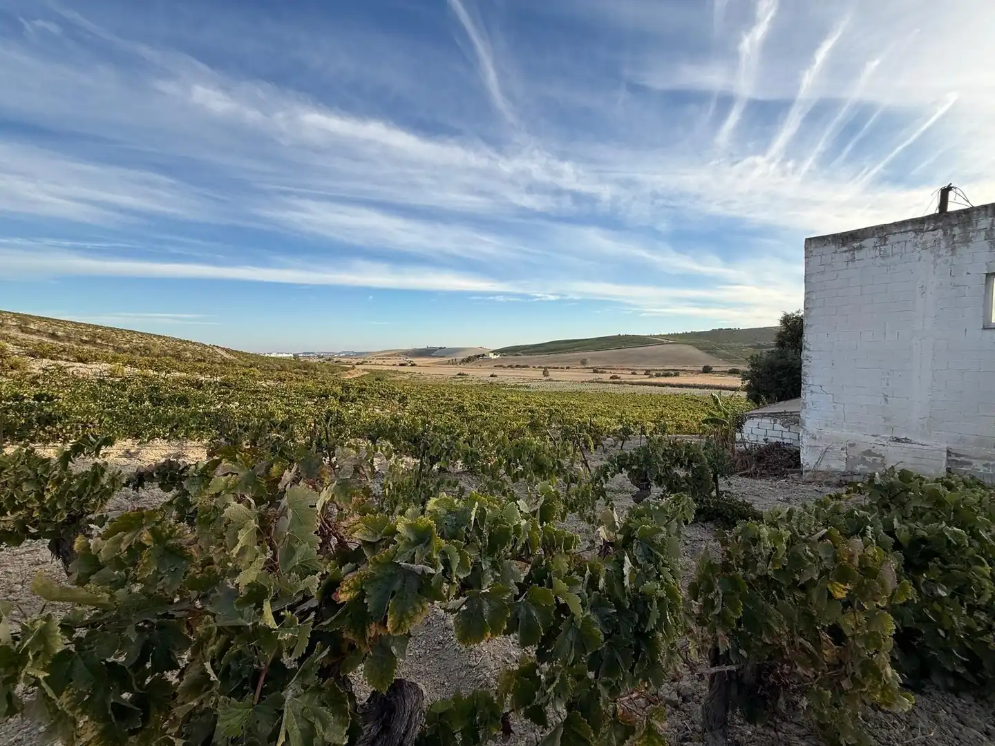 Local comercial en venta en Jerez Sur, imagen 84