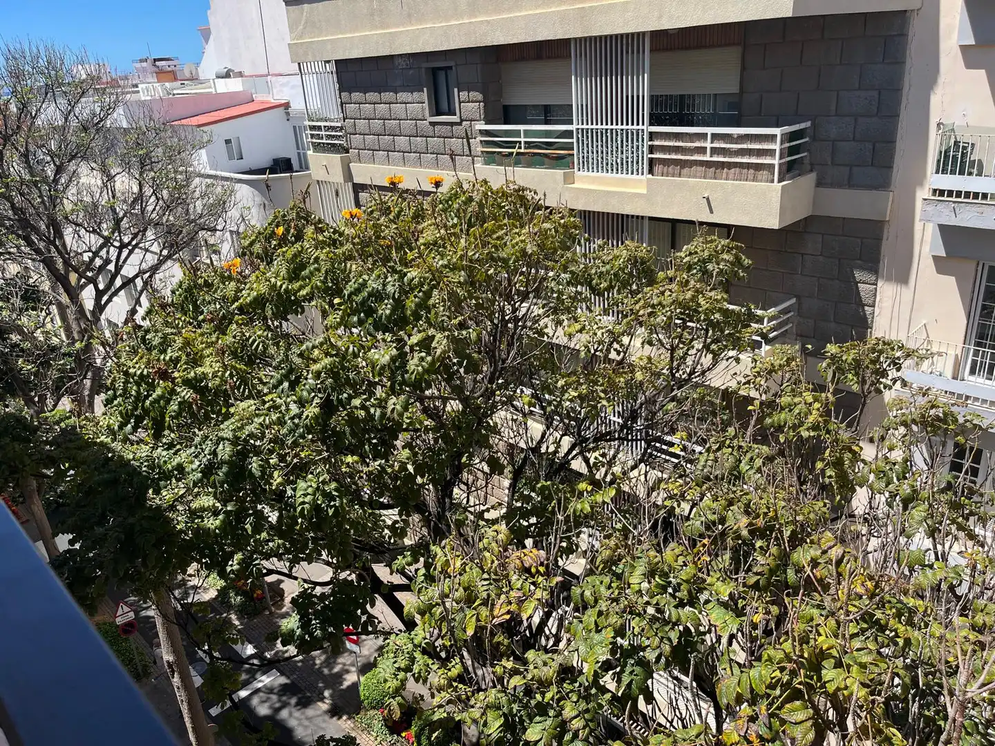 Vista exterior de Pis de lloguer en Santa Cruz de Tenerife amb Parquet, Moblat i Forn