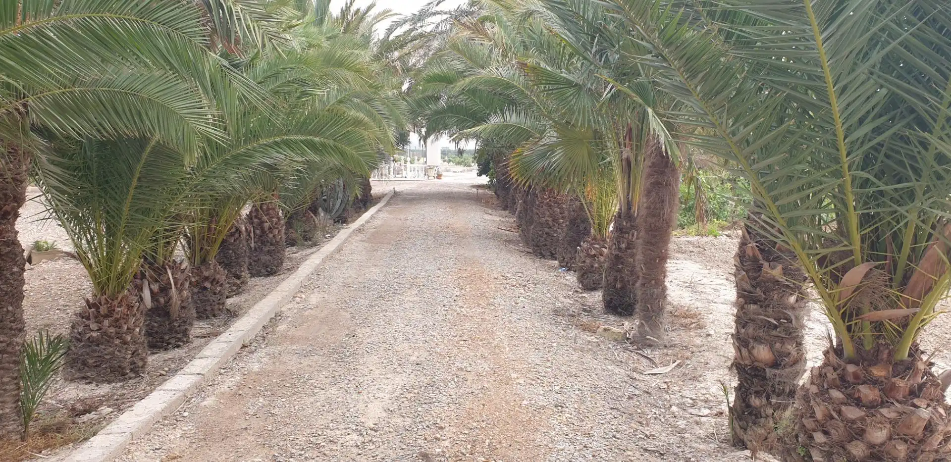Casa amb piscina en venda a Carretera Virgen del Camino 5, imagen 11