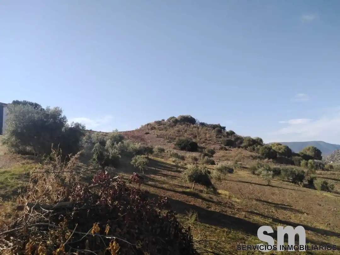 Terreno en venta en Zahara