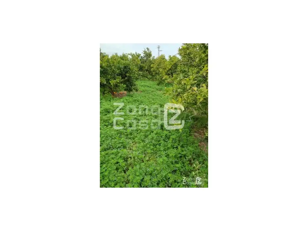 Country house for sale in Algemesí, imagen 5