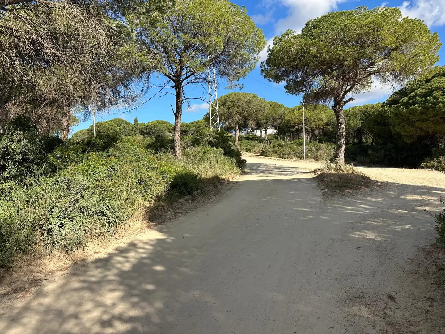 Rural land for sale in Las Lagunas - Campano, imagen 3