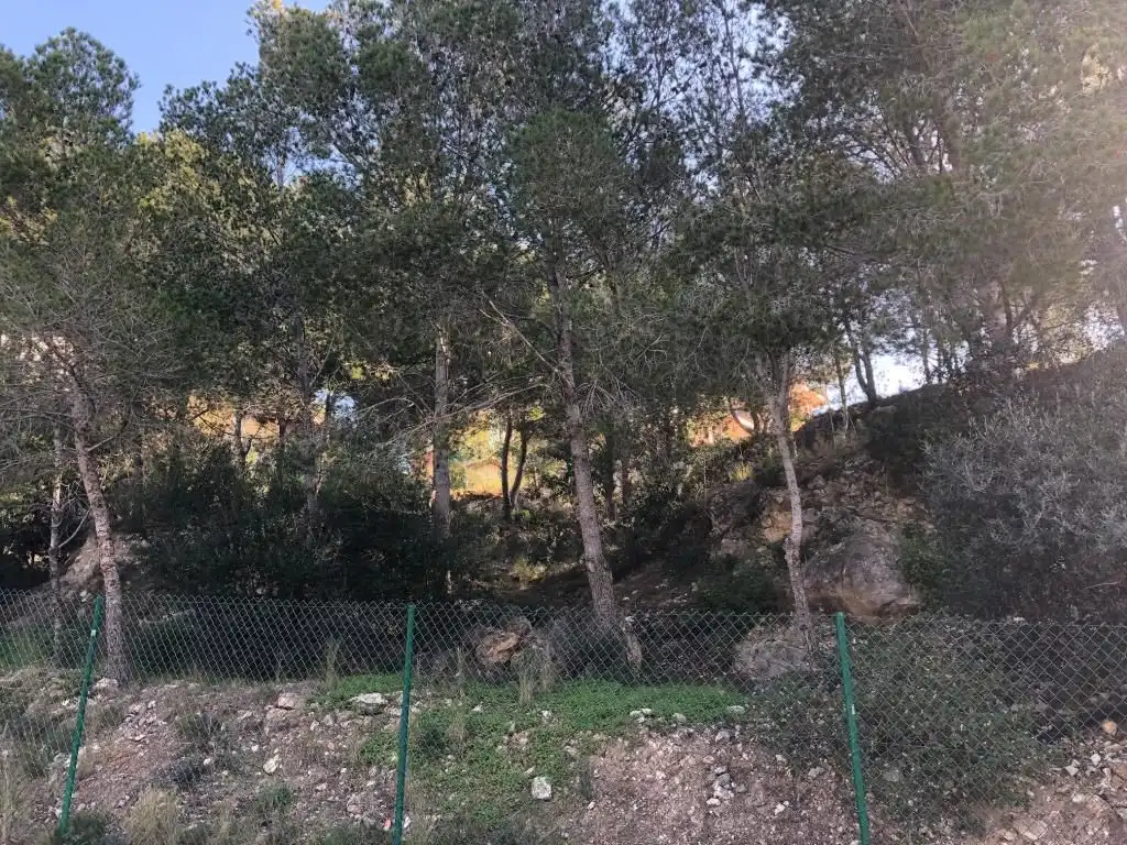 Residential land for sale in Pla de Maset - Cap de Salou, imagen 13