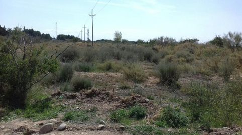 Foto 4 de Terreno en venta en Partida Pla de la Cerdera, La Cerdera, Lleida Capital