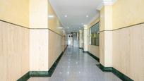 Apartment to rent in San Francisco Javier, imagen 1