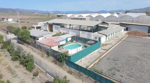 Foto 2 de Finca rústica en venda a Finca el Coronel , Camino Viejo de Málaga, Vélez-Málaga