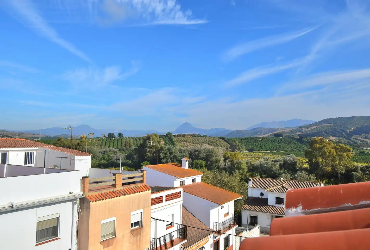 Appartement compact à louer à San Martín del Tesorillo, imagen 13