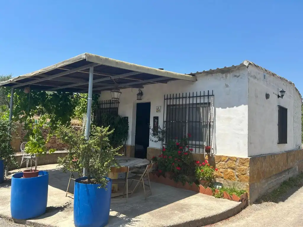 Vista exterior de Finca rústica en venta en Sot de Ferrer