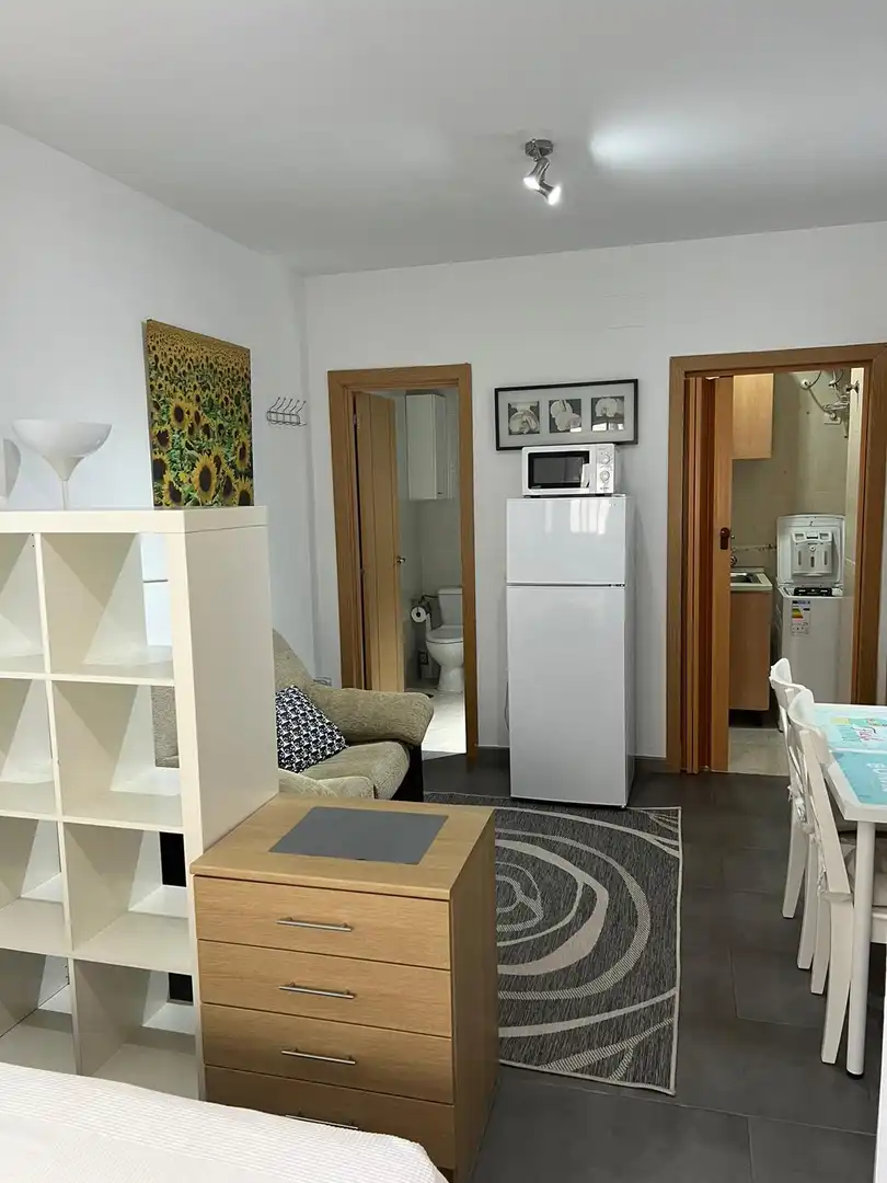 Study for rent in Calle Portería de Santo Domingo, San Matías - Realejo